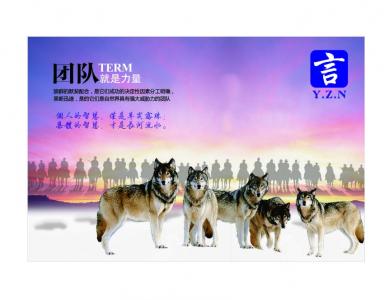公司文化墙