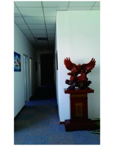 公司走廊